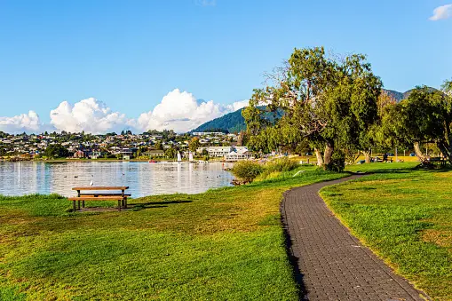 Weed in Taupo