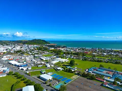 Weed in Gisborne
