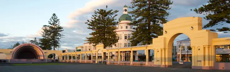 Weed in Napier