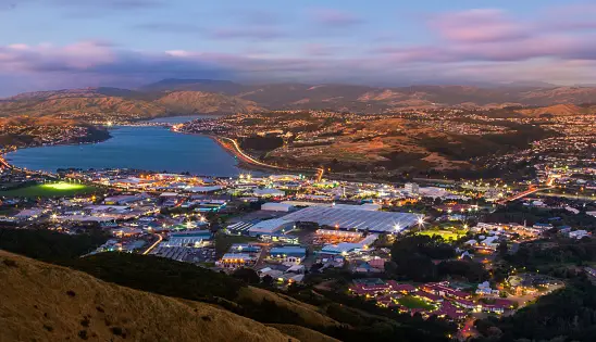 Weed in Porirua