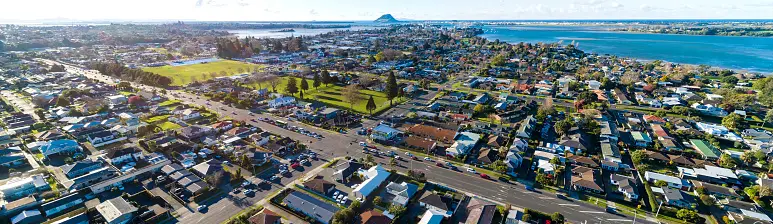 Weed in Tauranga