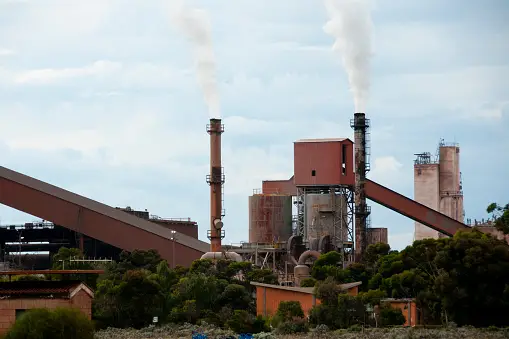 Weed in Whyalla