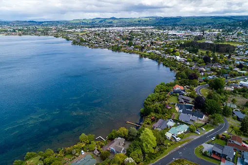 Weed in Rotorua