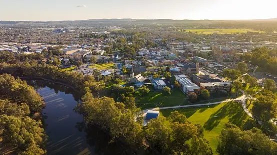 Weed in Wagga Wagga
