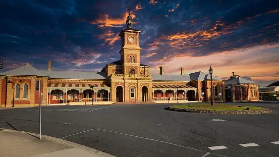 Weed in Albury