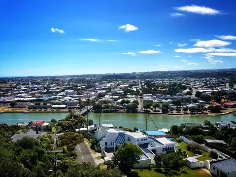 Weed in Whanganui