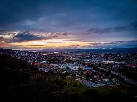 Weed in Launceston