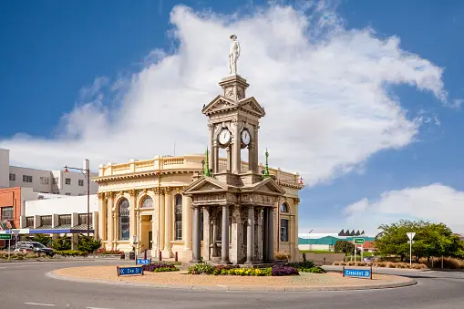 Weed in Invercargill